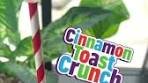 Cinnamon Toast Crunch Milkshake ingredients below… -1/2 ...