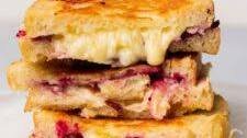 Cranberry Brie Grilled Cheese