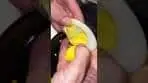 Deviled duck eggs...that's gooood!
