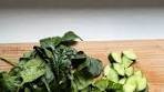 Discover the Green Goddess Juice on Pinterest 🍃📌