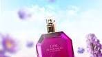 Dreamy Bliss by Luxe Fragrances 💫 | Introducing a warm ...