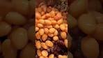 Easy Chili Recipe w/ Black & Pinto Beans🔥🫘😋🤩#chili ...