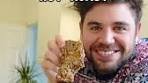 Easy Christmas Nut Roast 🎄 This showstopper is so simple to ...