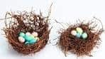 Edible Chocolate Nests filled w/ Cadbury Mini Eggs from ...