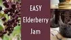 Elderberry Jam -- EASY!