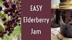 Elderberry Jam -- EASY!