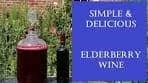 Elderberry Wine (Port) - Simple and delicious