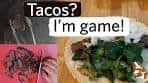 Elk Tacos Recipe