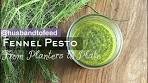 Fennel Pesto || Easy Recipe