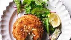 Hake fish cakes with mustard middles