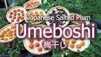 How To Make Umeboshi Japanese Pickled Plum | Salted and ...