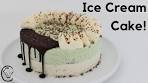 Ice Cream Cake Mint Chocolate Chip Includes EASY Magic ...
