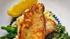 Icelandic Ocean Perch