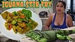 Iguana Lemongrass Stir Fry Recipe ( Iguana Catch and Cook)