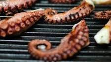 Italian Style Grilled Octopus