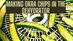 Making Okra chips in the dehydrator