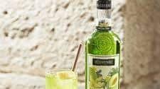 MELON FIZZ