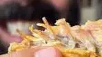 Michael Motamedi | Trying iguana stew for the second time ...