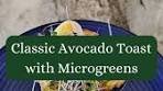 Microgreens Farm | Farmers Sarah & Rachel | 🌱Microgreens ...