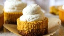 Mini Pumpkin Cheesecakes