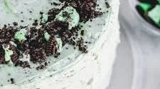 Mint Chocolate Grasshopper Cake