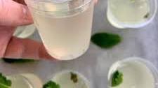 Mojito Jello Shots