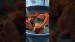 Moroccan Lamb Stew