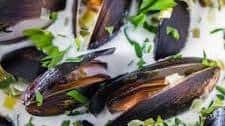 Mussels in Cream Sauce