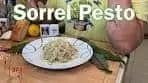 Not Basil Pesto, Lemony Sorrel makes this delicate, Perfect ...