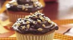 Peanut Butter Cupcakes with Chocolate Frosting