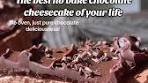 Pure Chocolate Indulgence: No-Bake Cheesecake Recipe