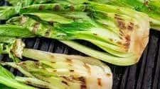 simple grilled bok choy