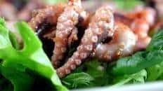 Squid Salad or Octopus Salad - Japanese Style