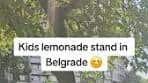 The Cutest Kids Lemonade Stand in Belgrade: Summer ...