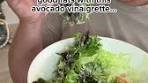 This avocado salad dressing is so easy to make. All I did was ...