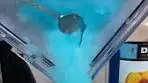 TROPICAL HPNOTIQ FISHBOWL | TROPICAL HPNOTIQ ...