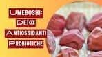 Umeboshi: benefici, consumo e caratteristiche