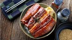 Unagi don grilled eel rice bowl