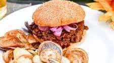 Venison Sloppy Joe (or Sloppy Annie)