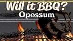 Will it BBQ? Opossum!