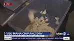 ʻUlu Mana Chip Factory began with a dream, now creates ...