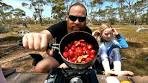 Aussie BUSH TUCKER collect and cook (quondong jam) out ...