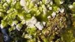 avocado blueberry quinoa salad is the June's ...