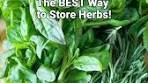 Best Ways to Store Herbs and Keep Them Fresh