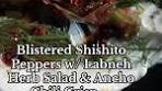 Blistered Shishito Peppers w/ Labneh Herb Salad & Ancho ...