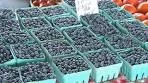 Blueberry Recipes & Preparation Tips from The Produce Lady