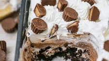 Chocolate Peanut Butter Oreo Delight