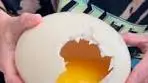 Cooking an ostrich egg for breakfast | breakfast, egg | You ...