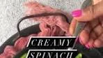 Creamy Spinach Pasta This beautiful green pasta is a great ...