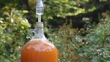 Cyser (Apple Mead)